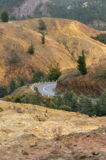 A winding asphalt road with white roadside posts curves through a landscape of rolling hills covered in dry grass and scattered green trees. The terrain features exposed soil and rocky patches, indica